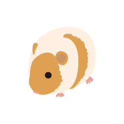 ハム