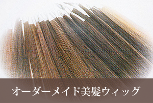 オーダーメイド美髪ウィッグ