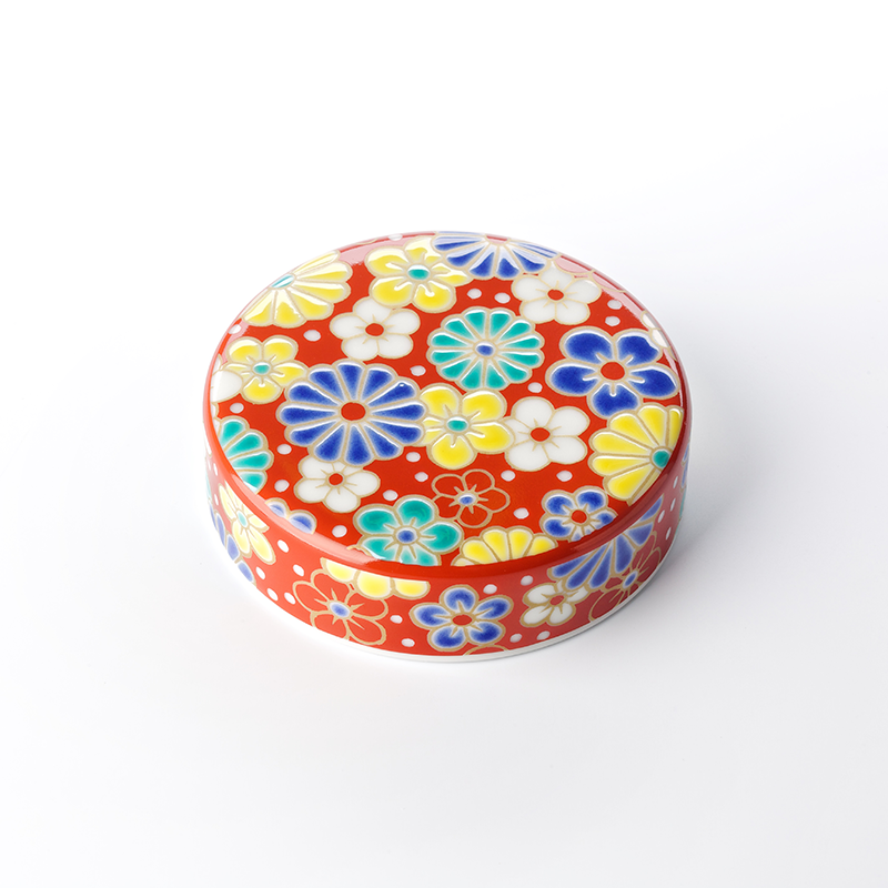 梅菊(うめぎく)