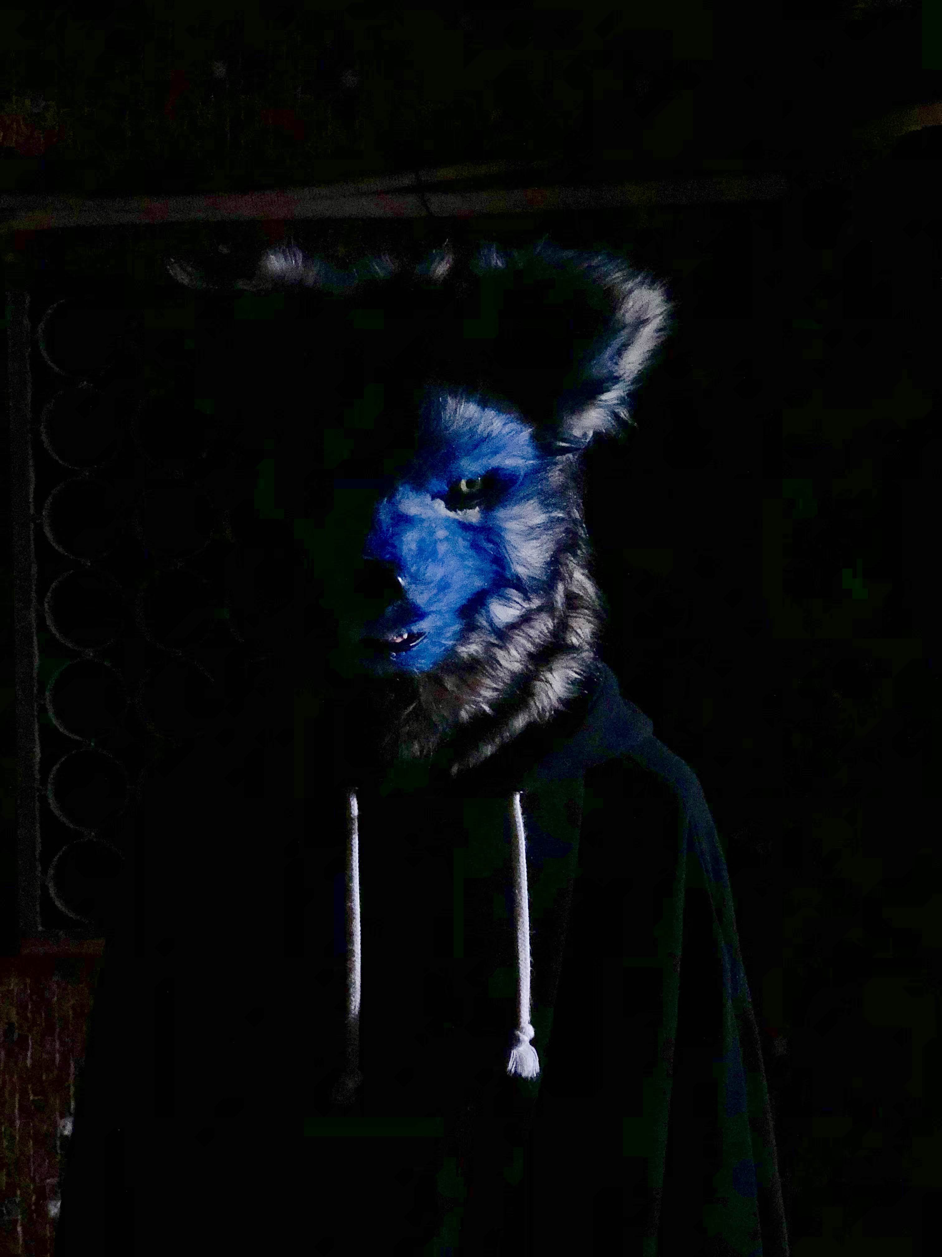 DJWOLF