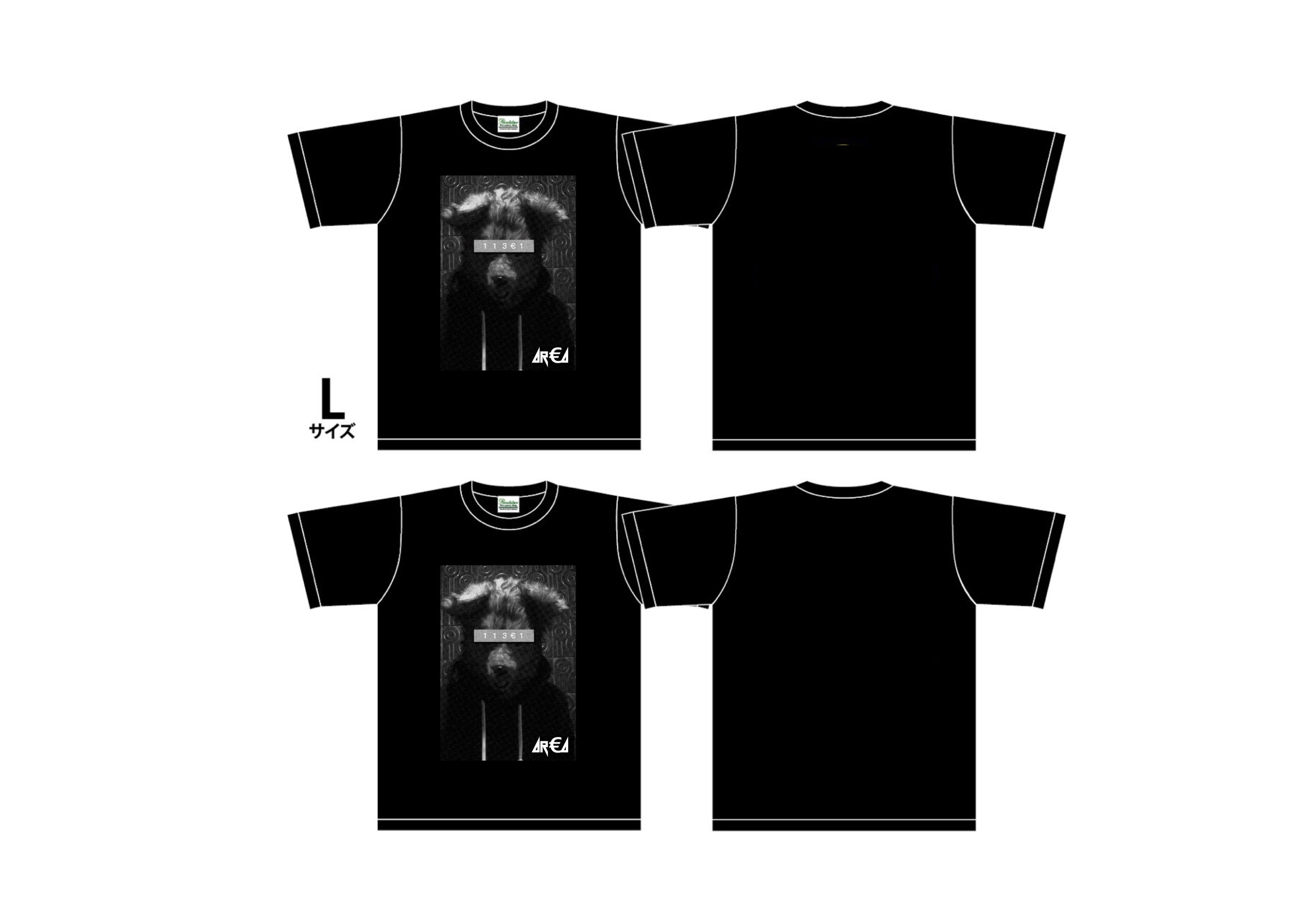 AREATshirts2019-2