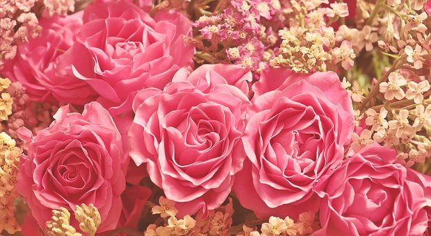 roses-3700010__340