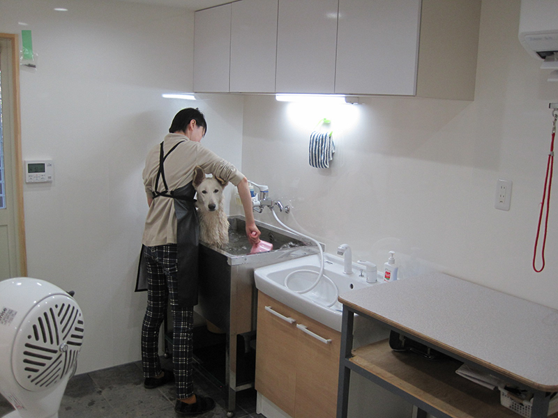 シャンプー中写真