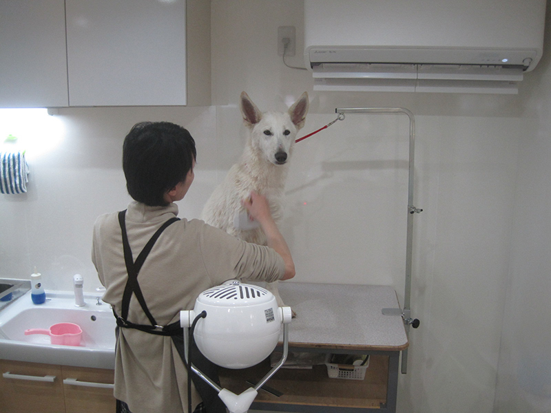 ドライヤー中写真