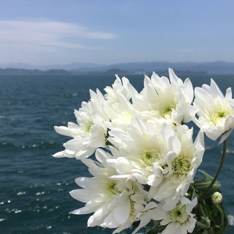 海洋散骨