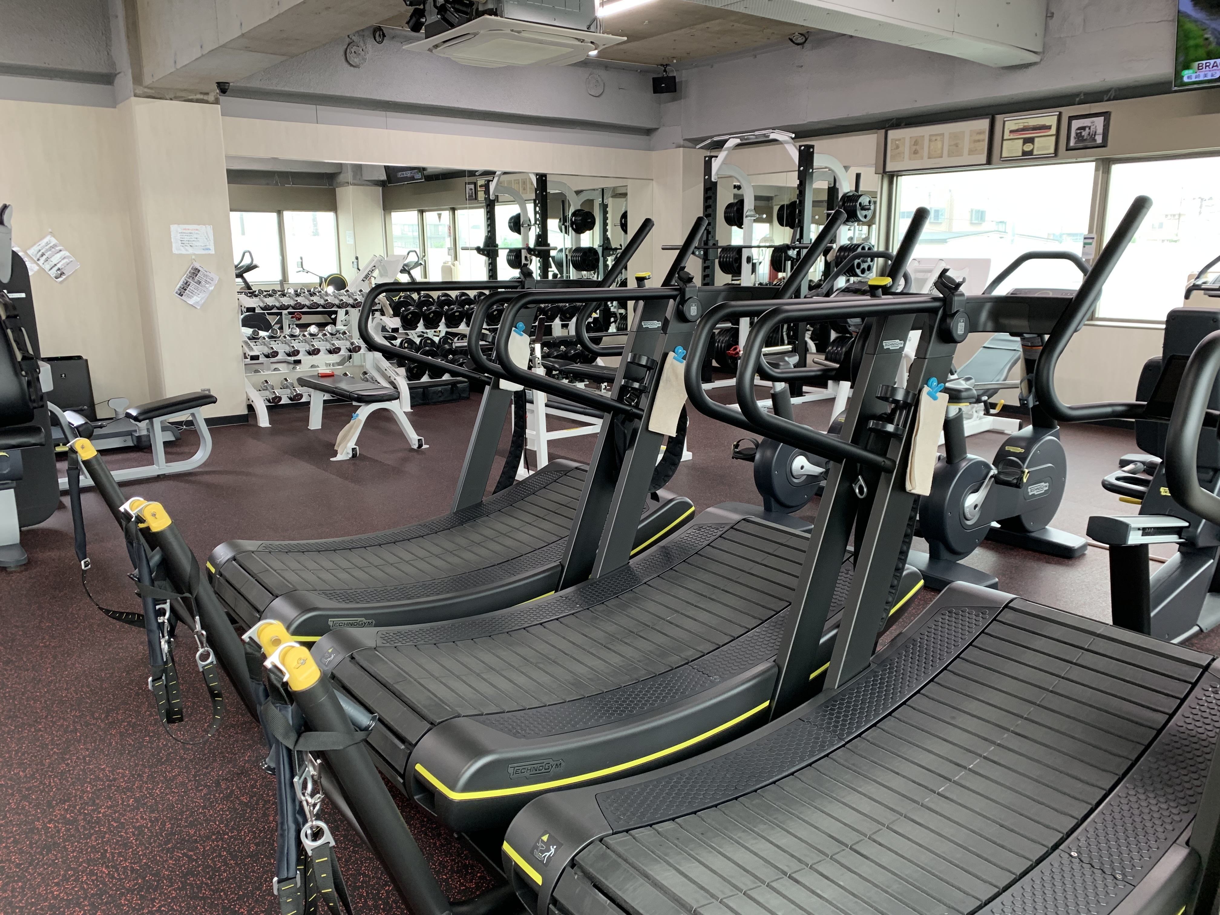SENSE BODY DESIGN STUDIOの画像