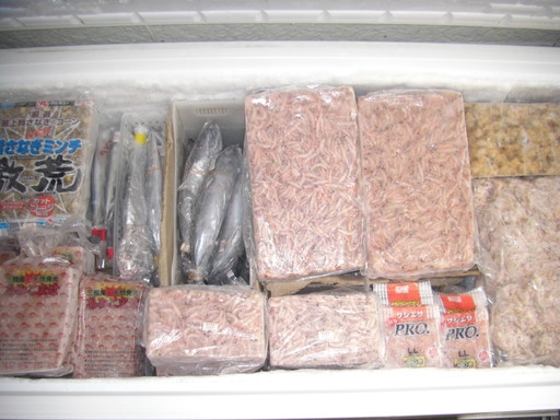 冷凍エサ 活きエサの徳丸 みうら半島の生き餌専門店 冷凍エサ 活きエサの徳丸 みうら半島の生き餌専門店