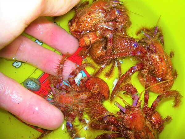 CIMG3045 (3)_コピー