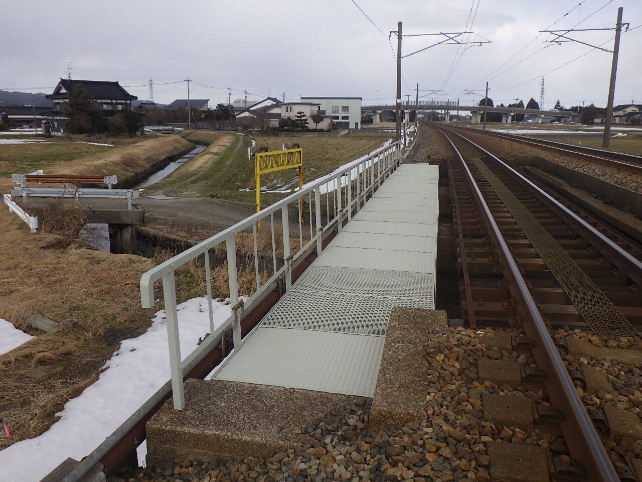 RIMG7424