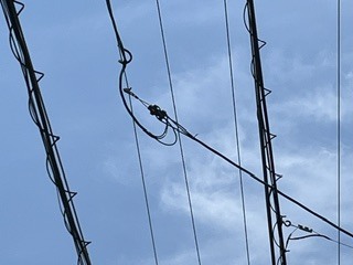 IMG_9695
