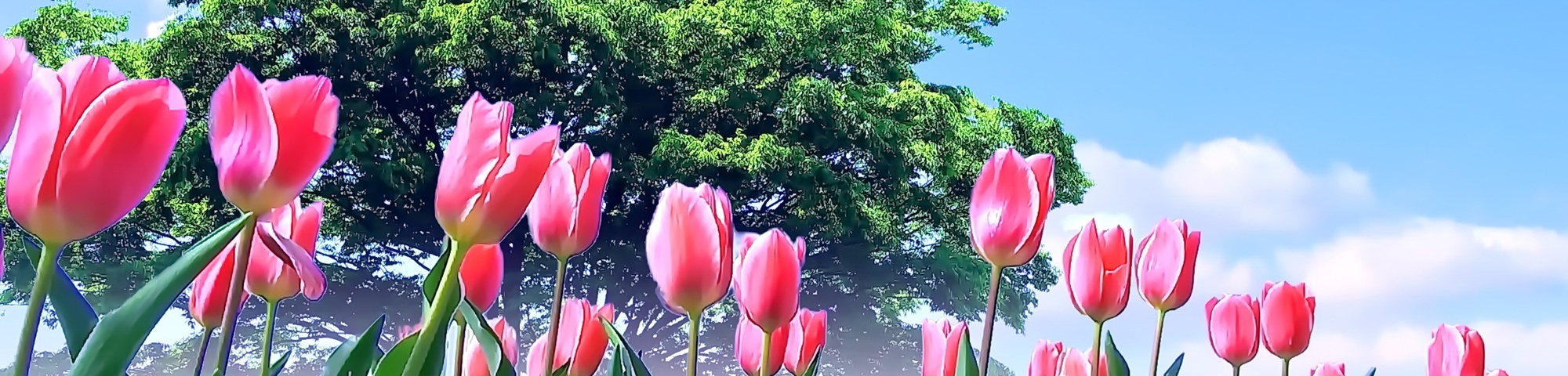 春の相談キャンペーン