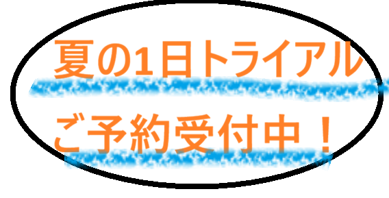 トライアルバナー