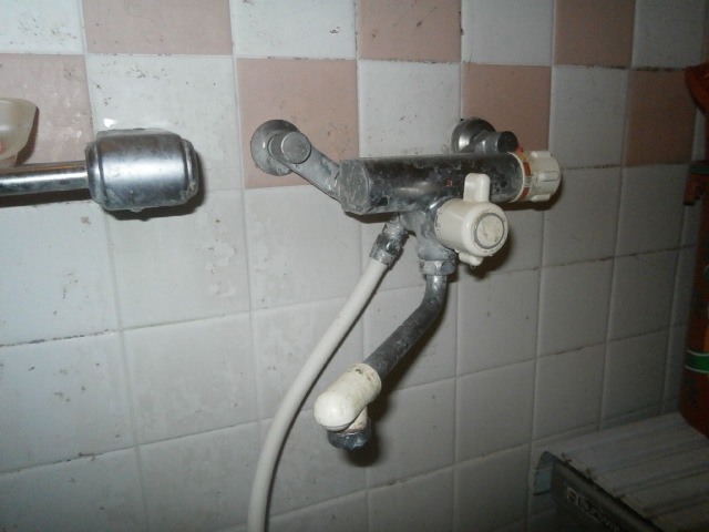 0000382465.jpg