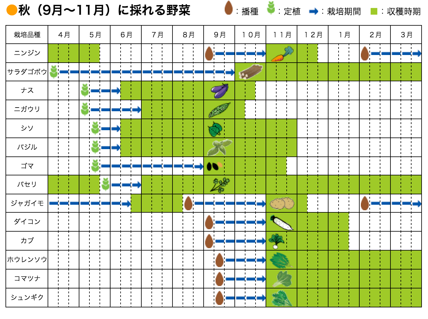 手ぶらで始める家庭菜園 らいふ菜園す 横浜市 手ぶらで始める家庭菜園 らいふ菜園す 横浜市