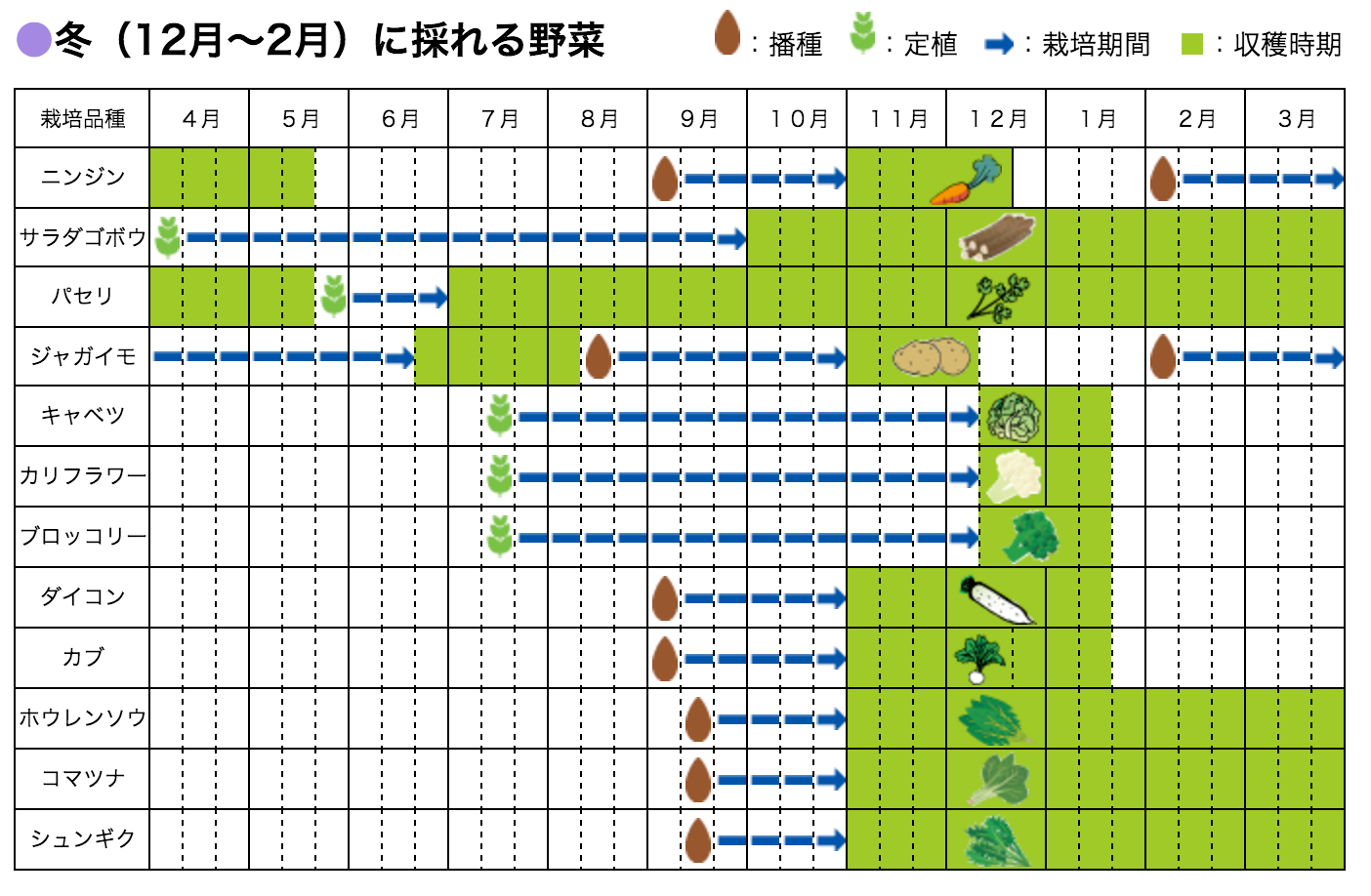 手ぶらで始める家庭菜園 らいふ菜園す 横浜市 手ぶらで始める家庭菜園 らいふ菜園す 横浜市