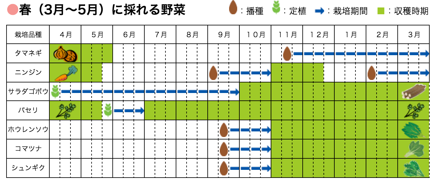 手ぶらで始める家庭菜園 らいふ菜園す 横浜市 手ぶらで始める家庭菜園 らいふ菜園す 横浜市
