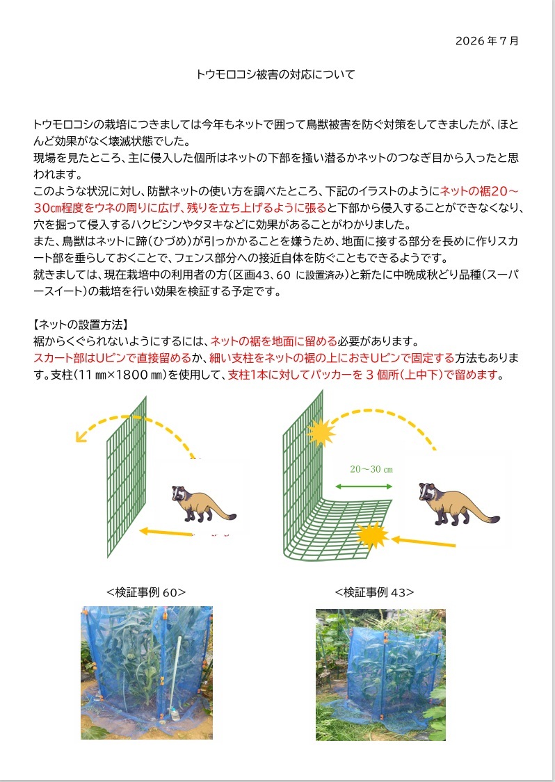 トウモロコシ防獣対策