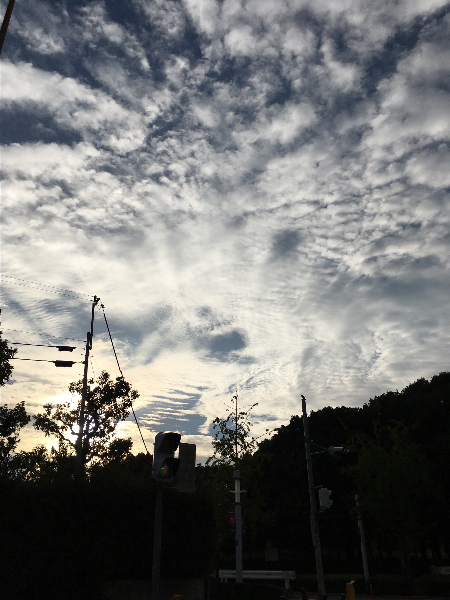 c9958540-f097-418b-bfd0-9d441e8b5386.JPG