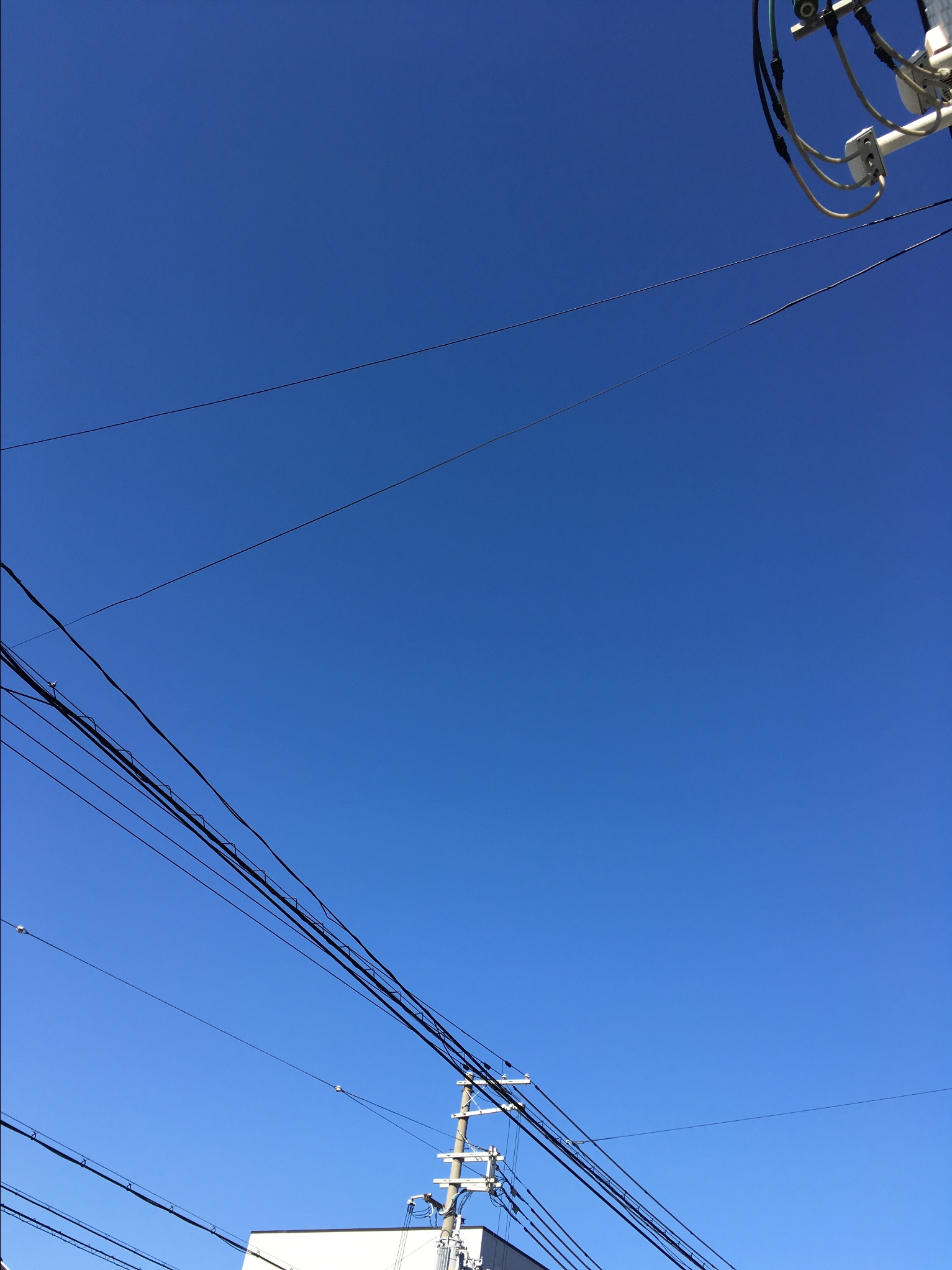 6ce240dc-e54d-4b90-a7ef-6ce80ab084bc.JPG