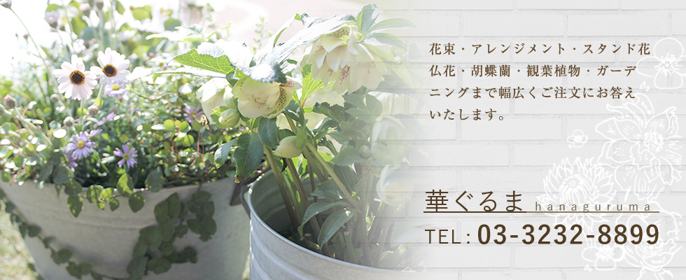 新宿区早稲田のフラワーショップ 花屋 華ぐるま 早稲田大学 椿山荘近く 茗荷谷店open 新宿区早稲田のフラワーショップ 花屋 華ぐるま 早稲田大学 椿山荘近く 茗荷谷店open