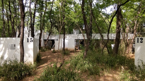 E2271C11-4398-4D83-BE96-77A111896824_コピー