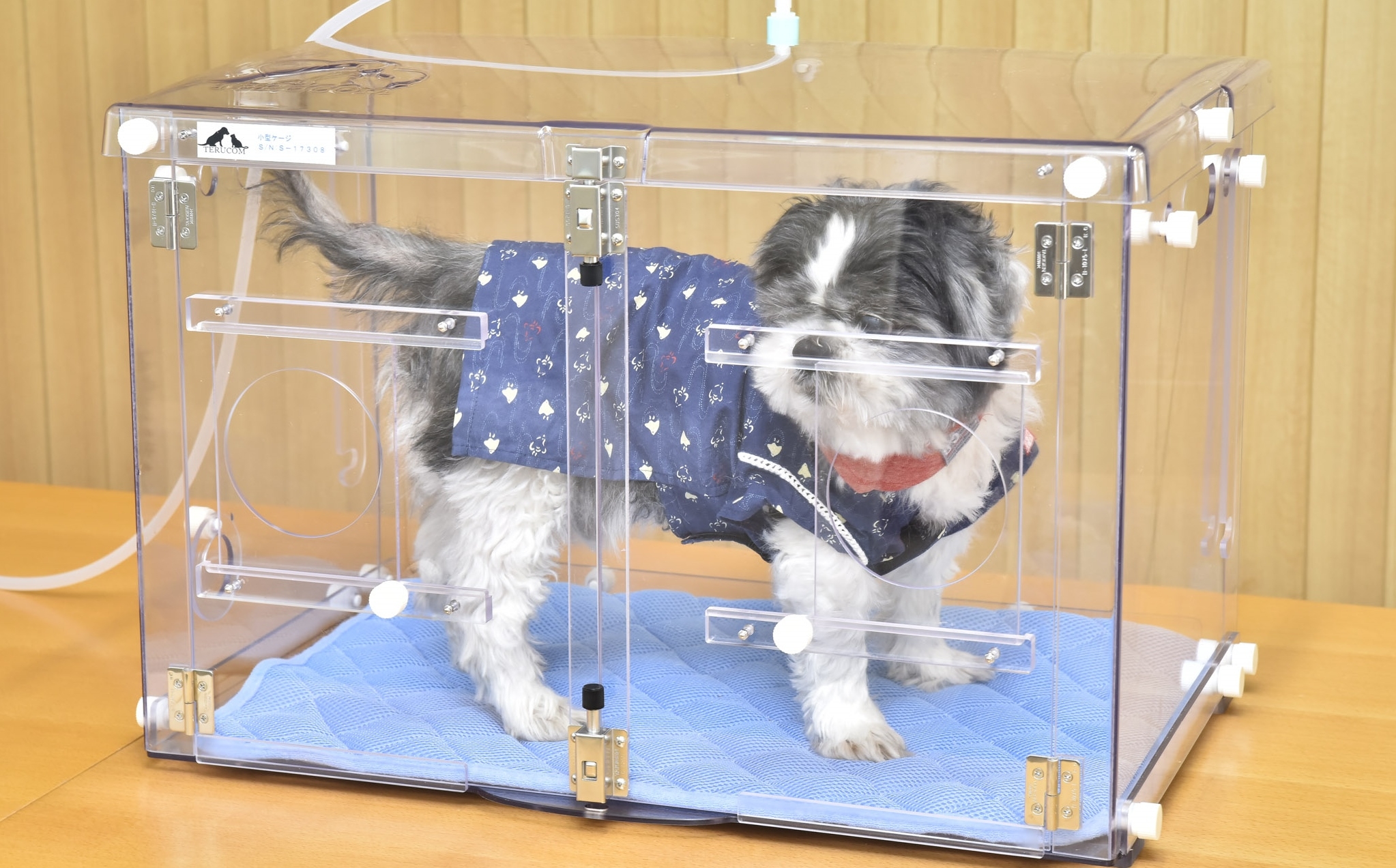 ペットの在宅ケア用酸素ハウスならシステムラインズ 佐賀県佐賀市