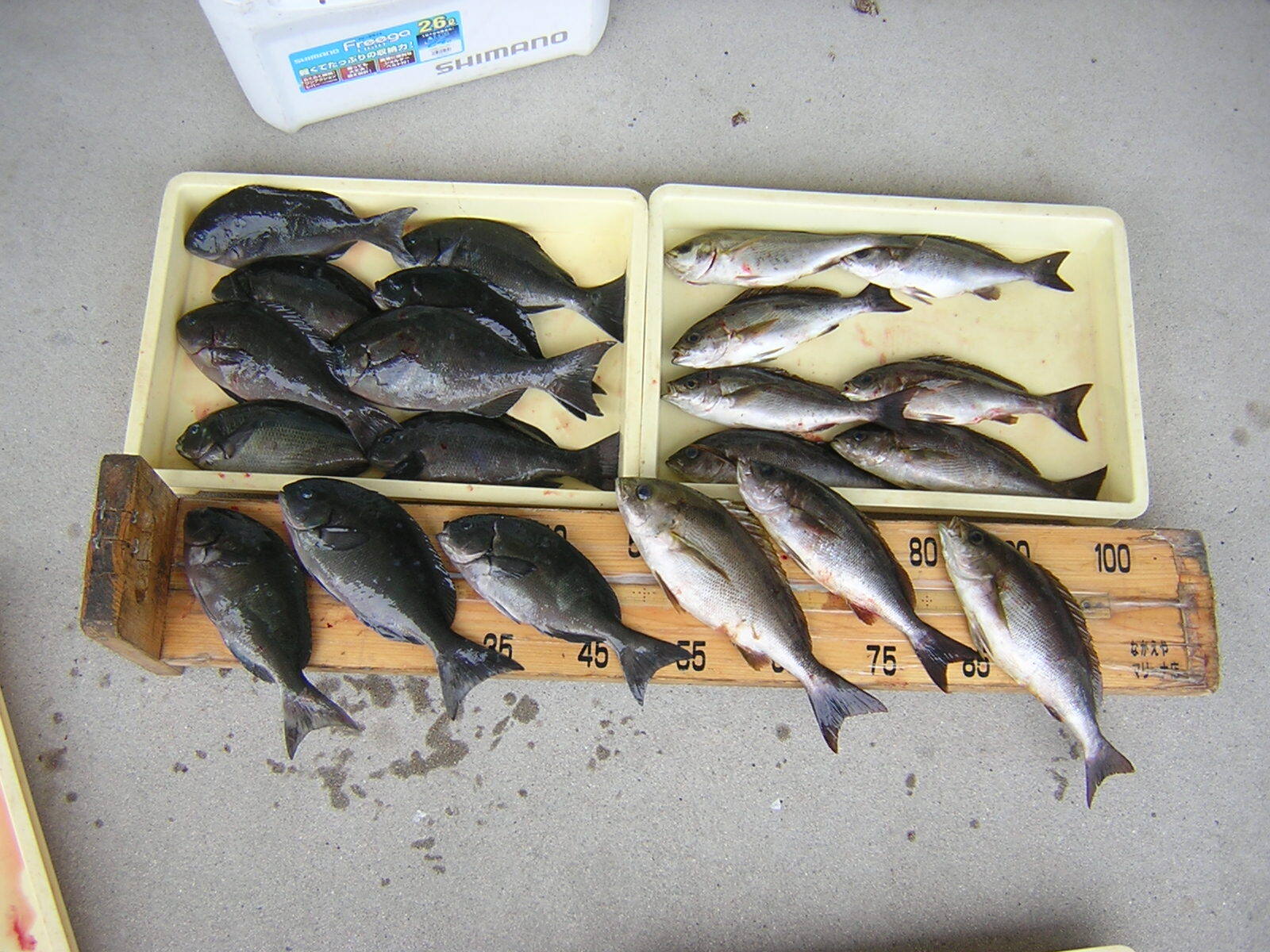 境港市のフィッシングながえやへようこそ 境港市のフィッシングながえやへようこそ