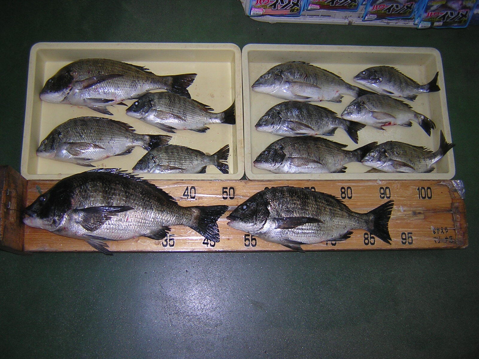 境港市のフィッシングながえやへようこそ 境港市のフィッシングながえやへようこそ