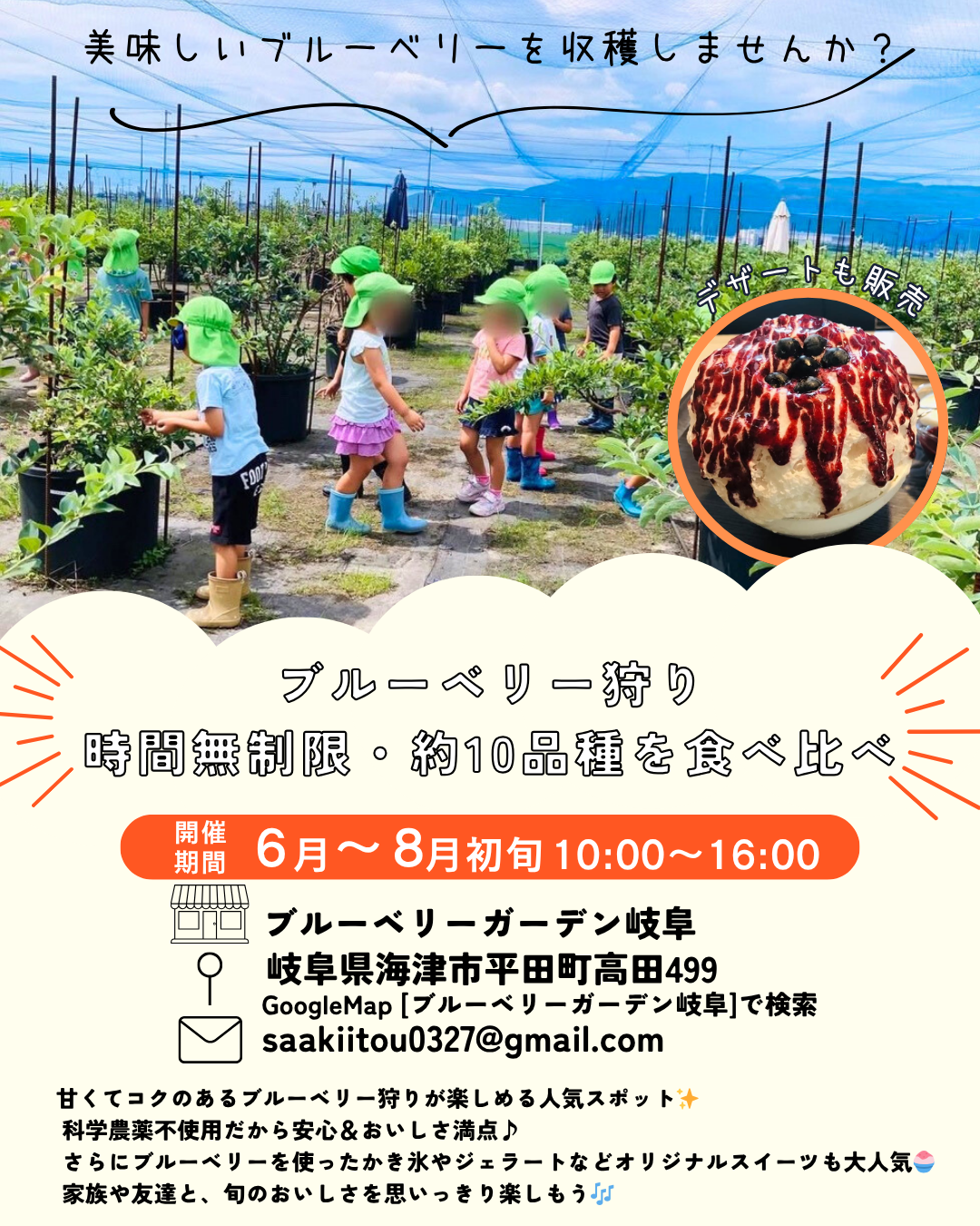 ブルーベリーガーデン岐阜