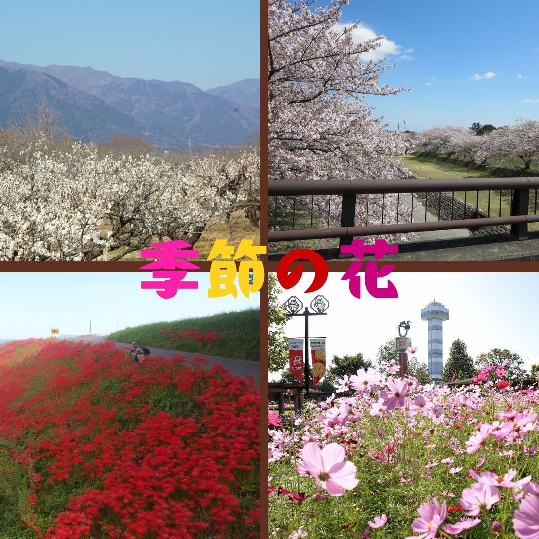 観光協会HPリンク-cleaned