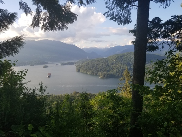 20200606_194600_コピー