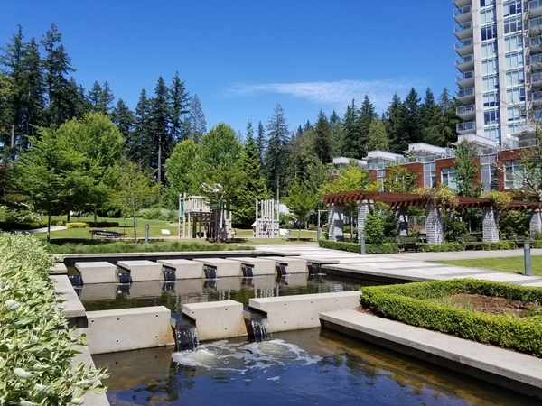 20200715_140958_コピー