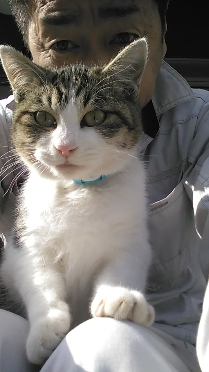 未経験者歓迎 土木 解体への転職 求人ならバイセップス 宮城県塩竈市