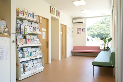 クオール動物病院の院内紹介 姫路市 ct 撮影