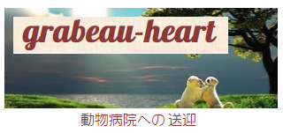 クオール動物病院の診療案内 姫路 ct クオール動物病院の診療案内 姫路 ct
