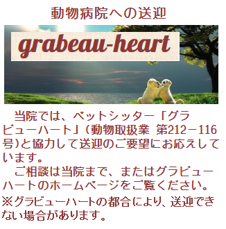 クオール動物病院の診療案内 姫路 ct