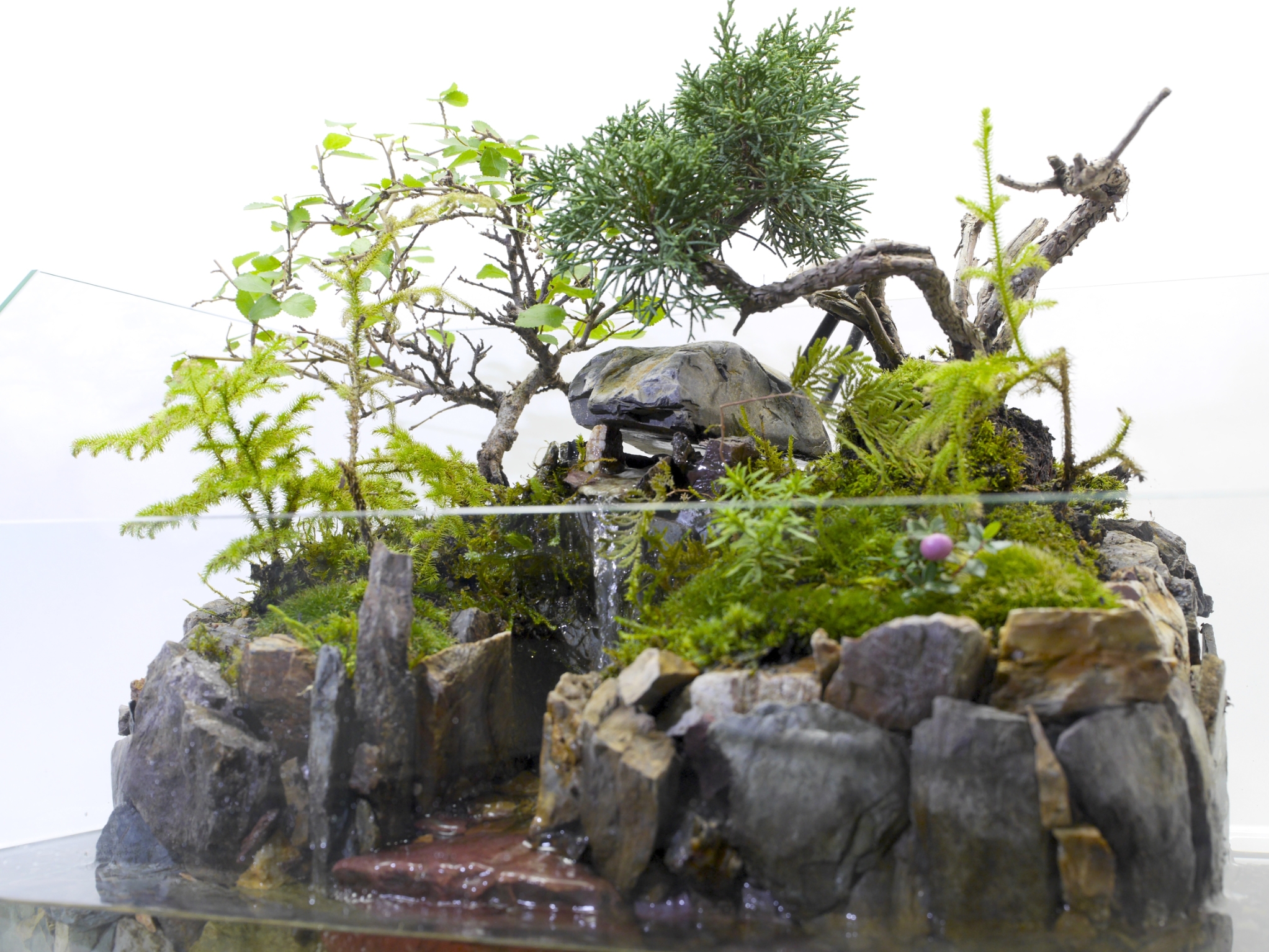 東京都 杉並区のアクアテラリウム専門店 Atera アテラ 株 アテラリサーチ