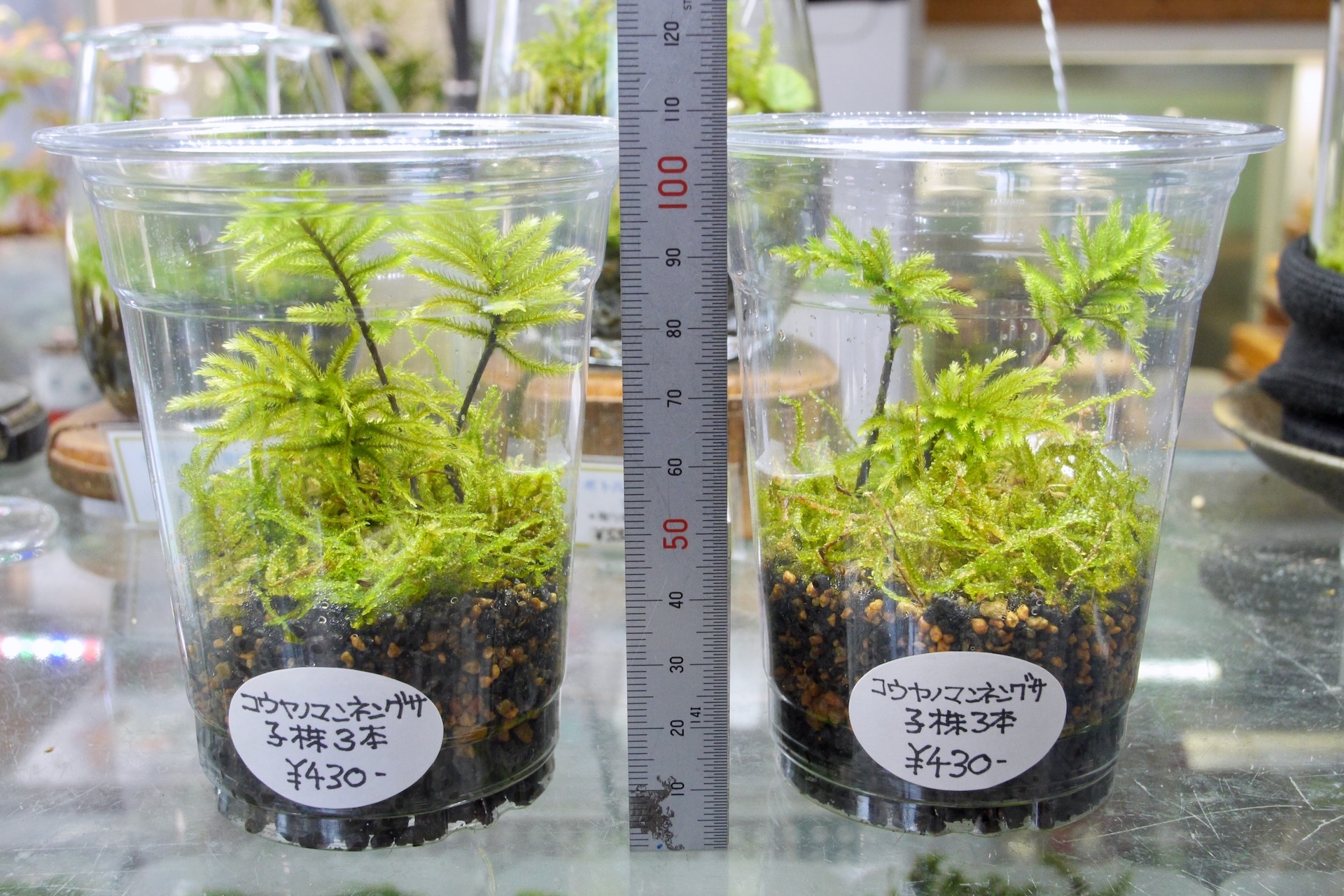 P1250332