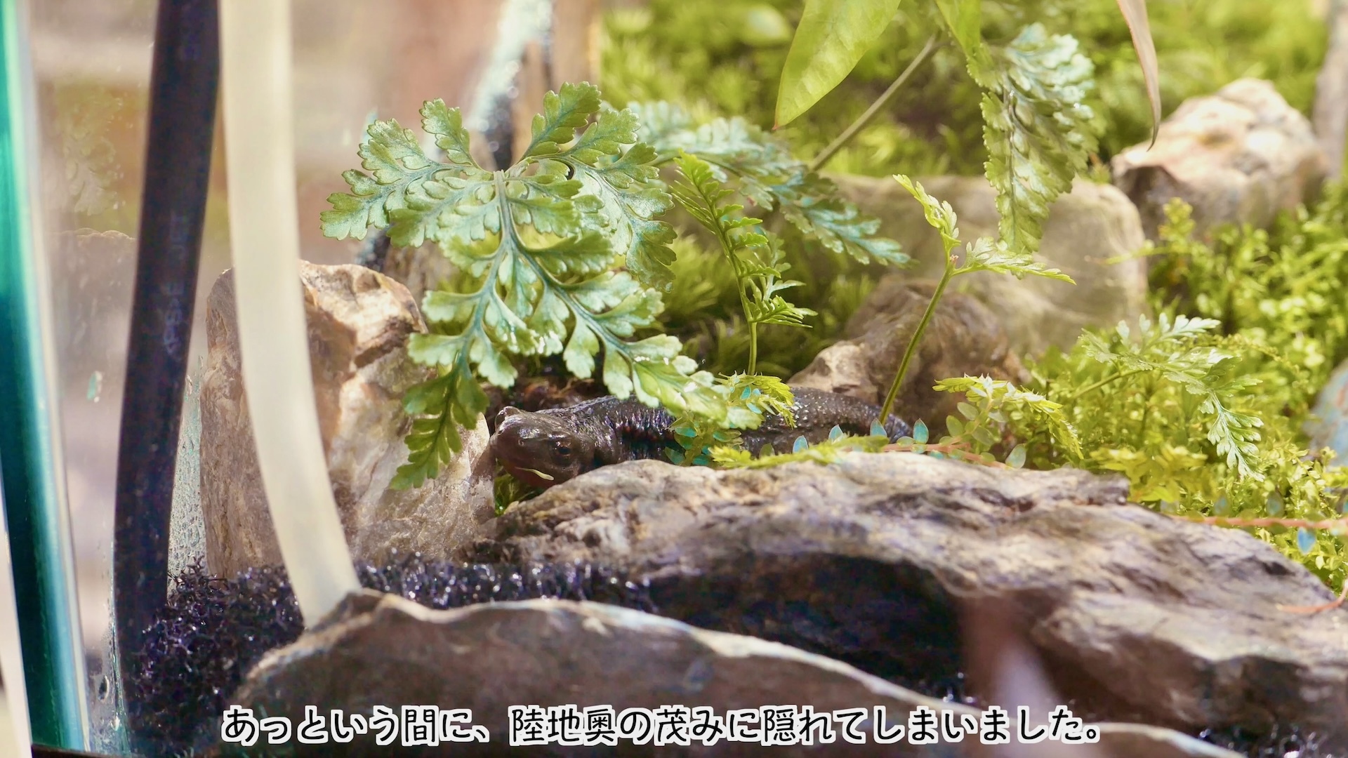 スクリーンショット 2025-11-01 21.31.14