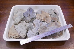 P1400275