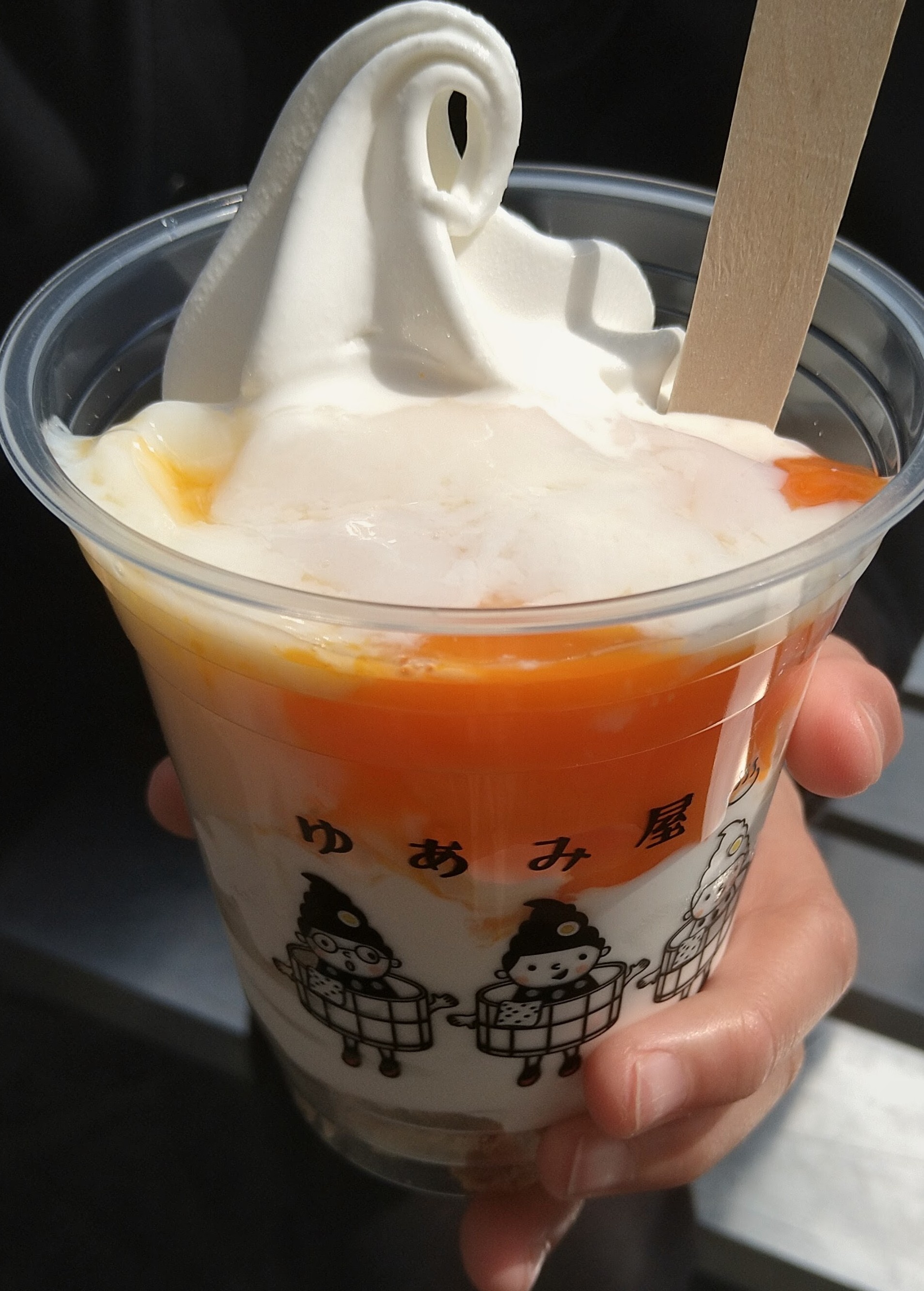 DSC_2012~2_20260412154547_20260413084525