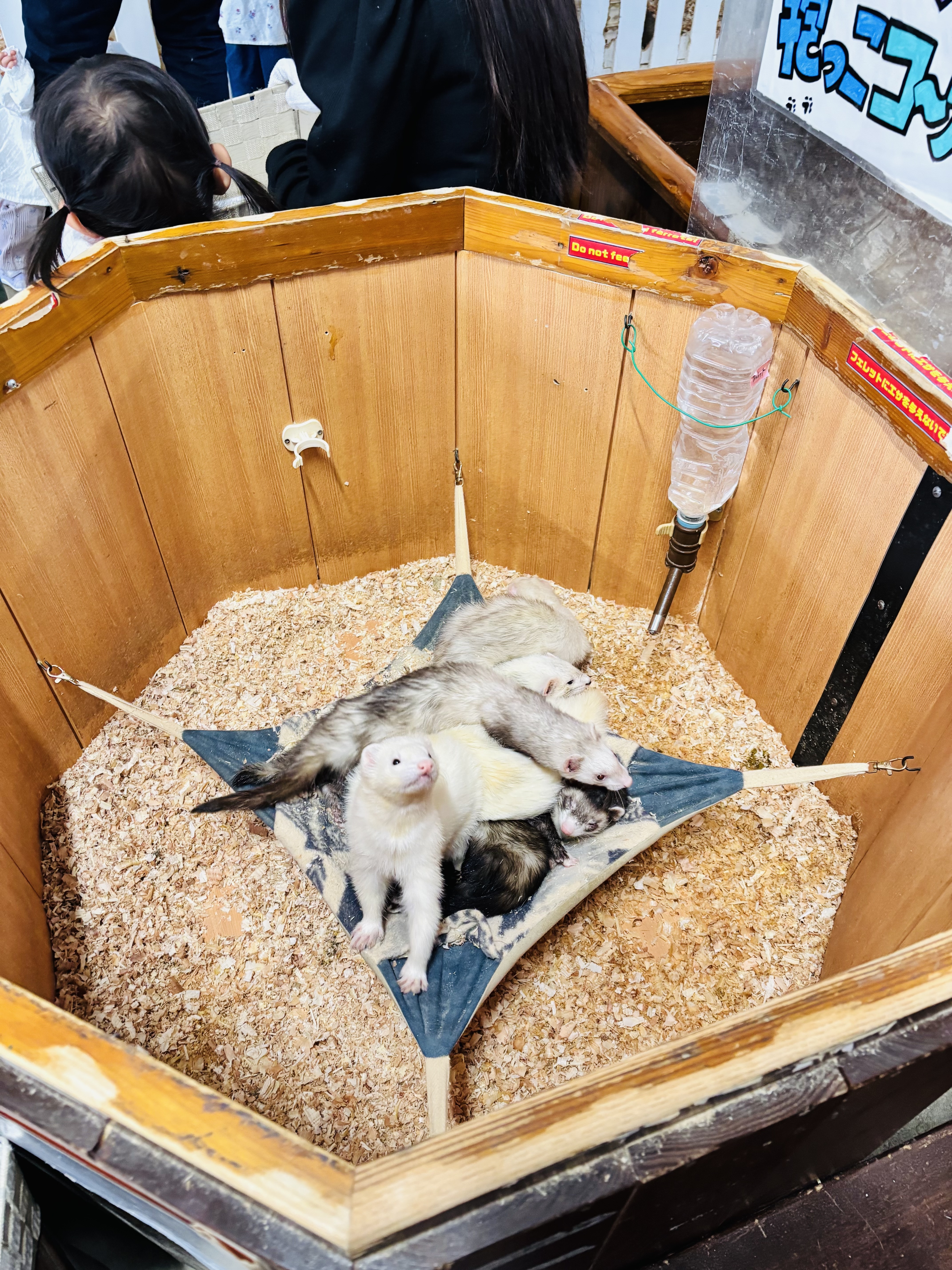 Image_20260608_084704_594