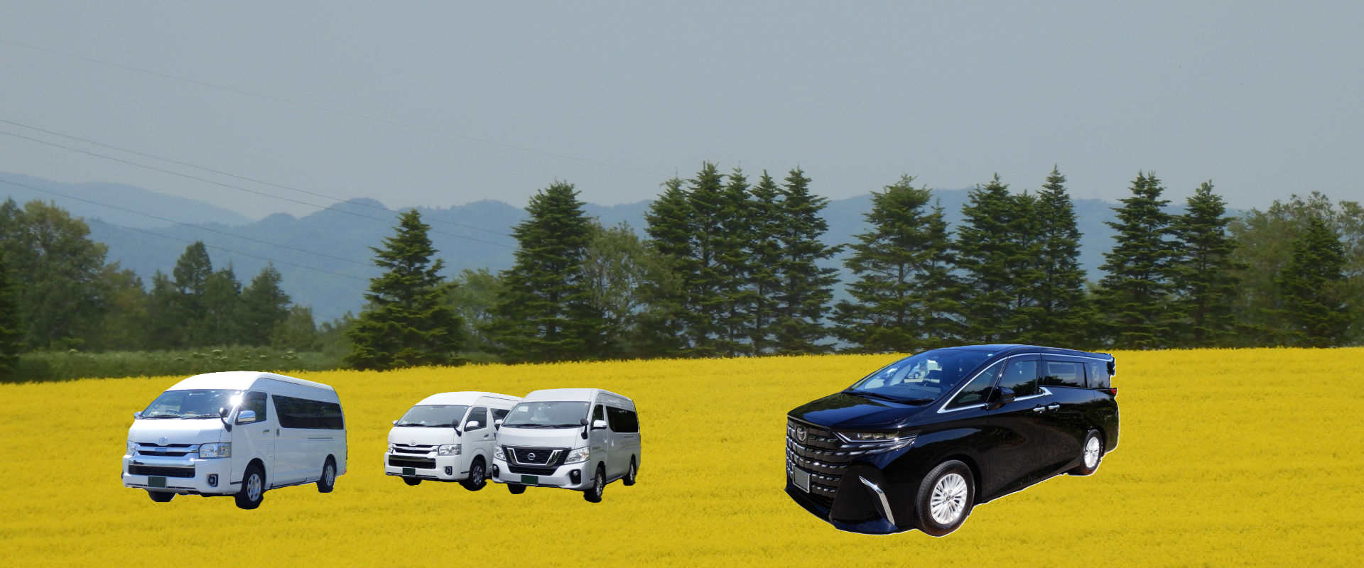 タキノ・なの花畑