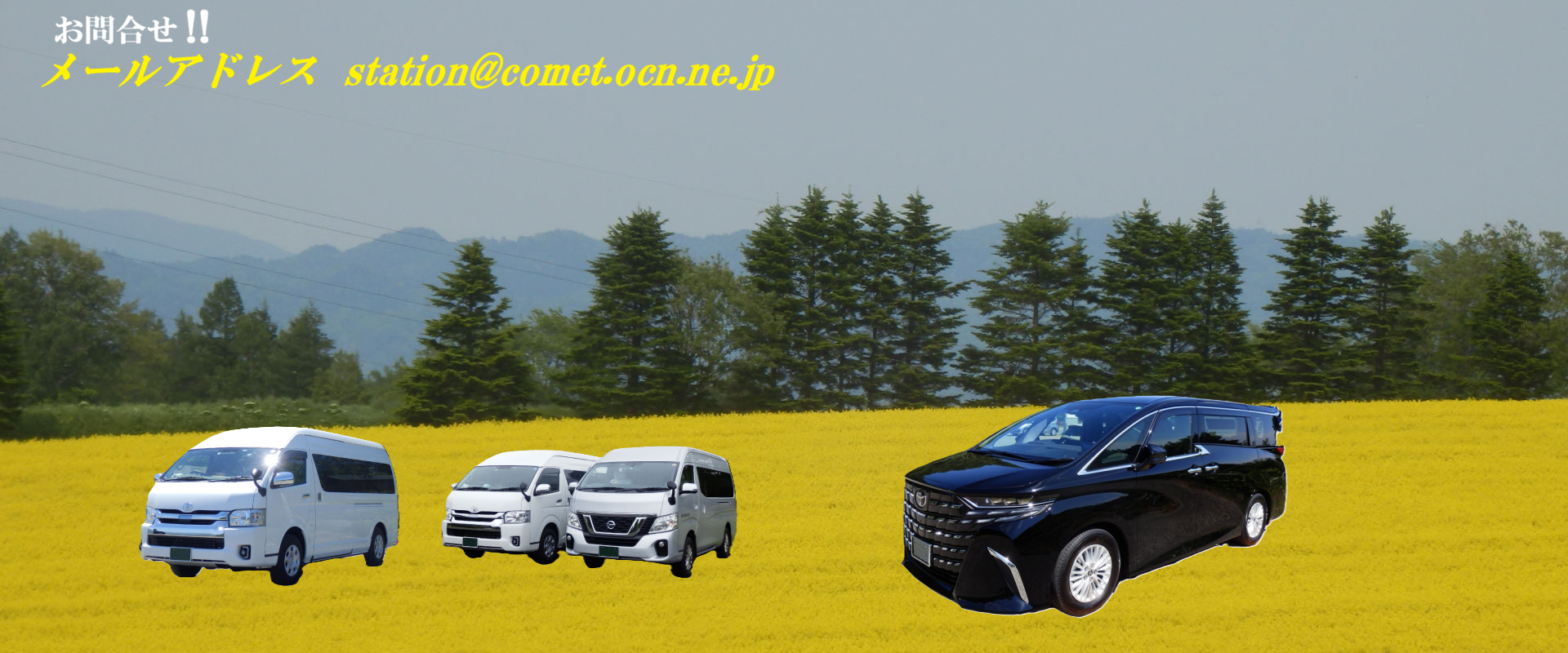 タキノ・なの花畑