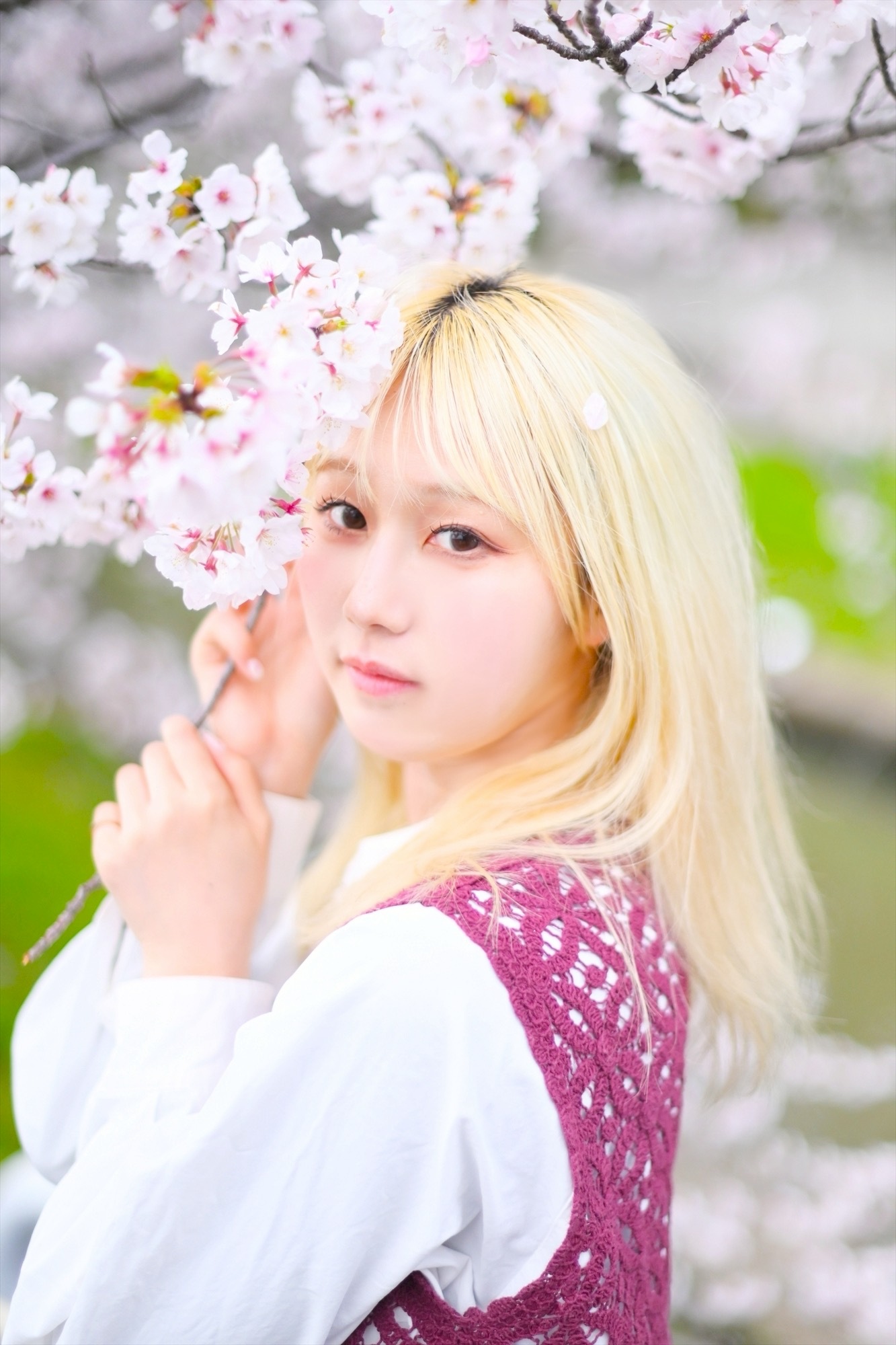 LINE_ALBUM_参考写真_260405_4