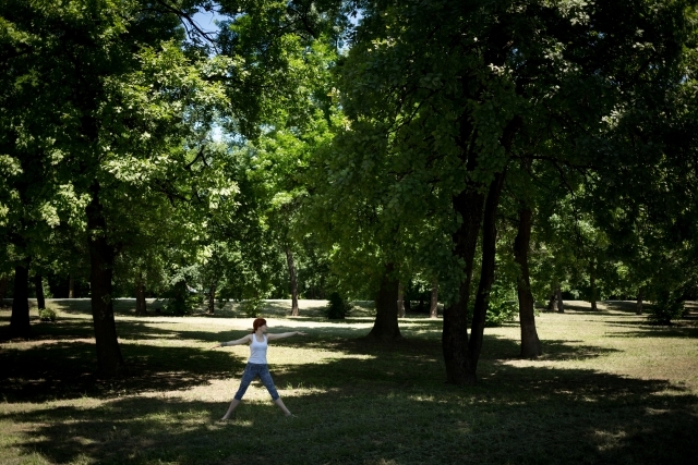 森林ストレッチ