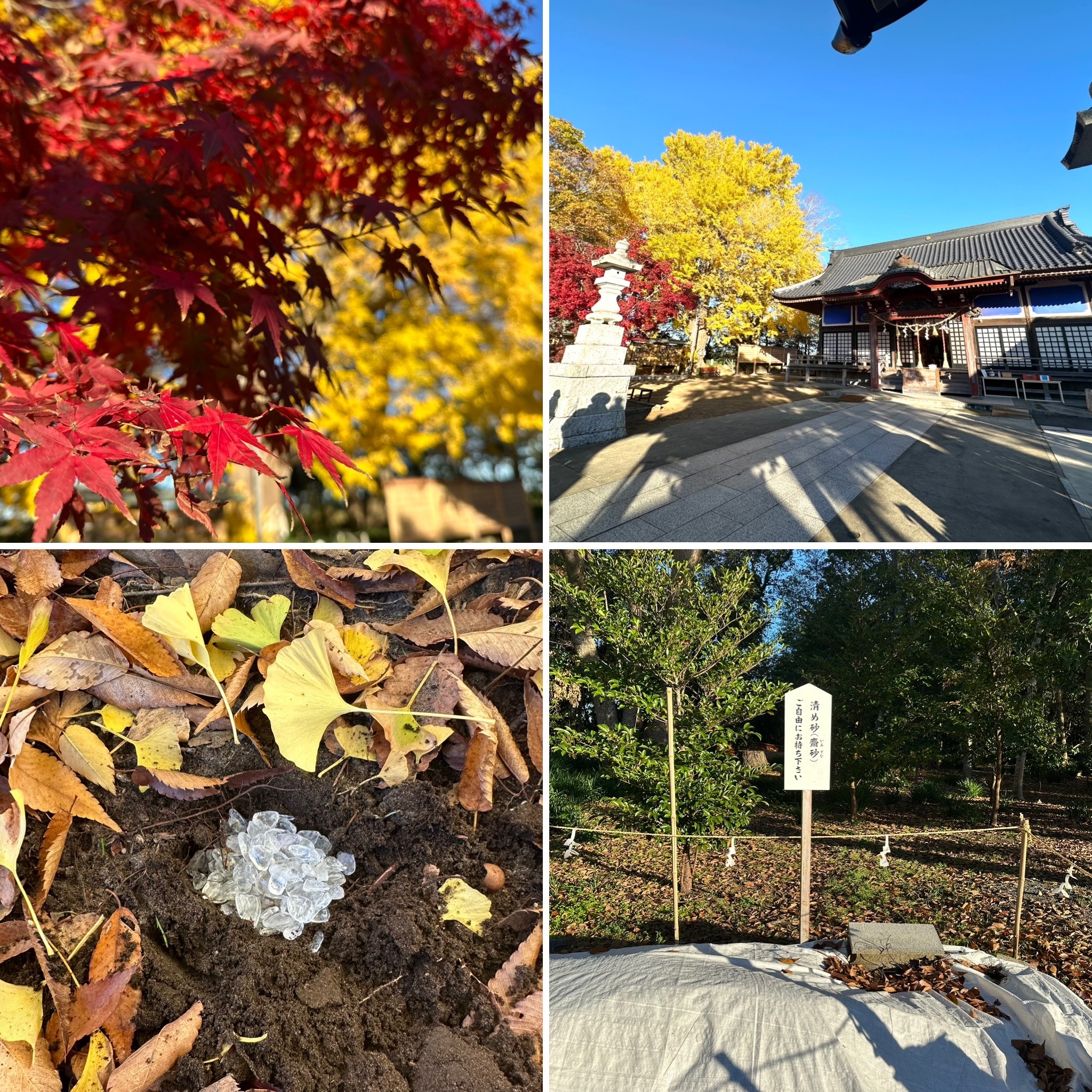 237EB0A4-23F5-4ECF-B509-628BB65D2F60