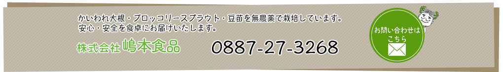 取扱商品 かいわれ大根豆苗ブロッコリースプラウトなら嶋本食品 取扱商品 かいわれ大根豆苗ブロッコリースプラウトなら嶋本食品