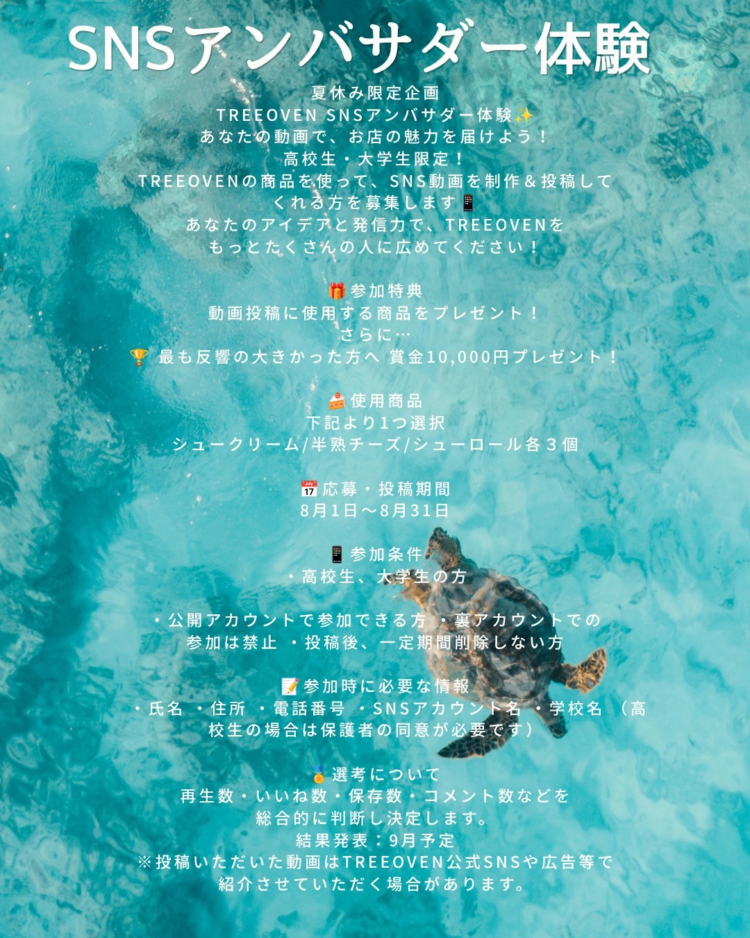 アンバサダー体験