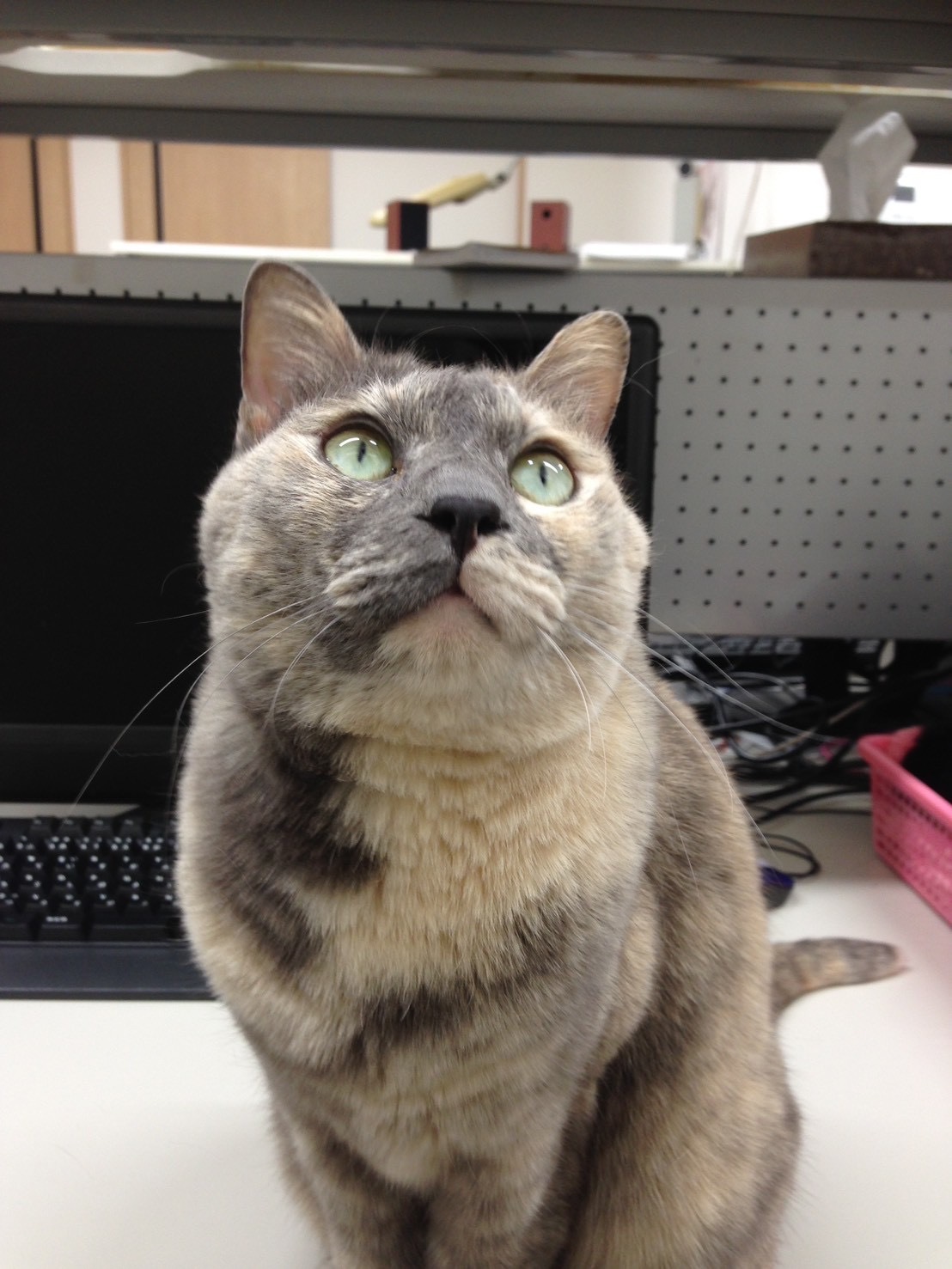 A1A3AED2-9E69-4432-A3F3-30C036F09F46